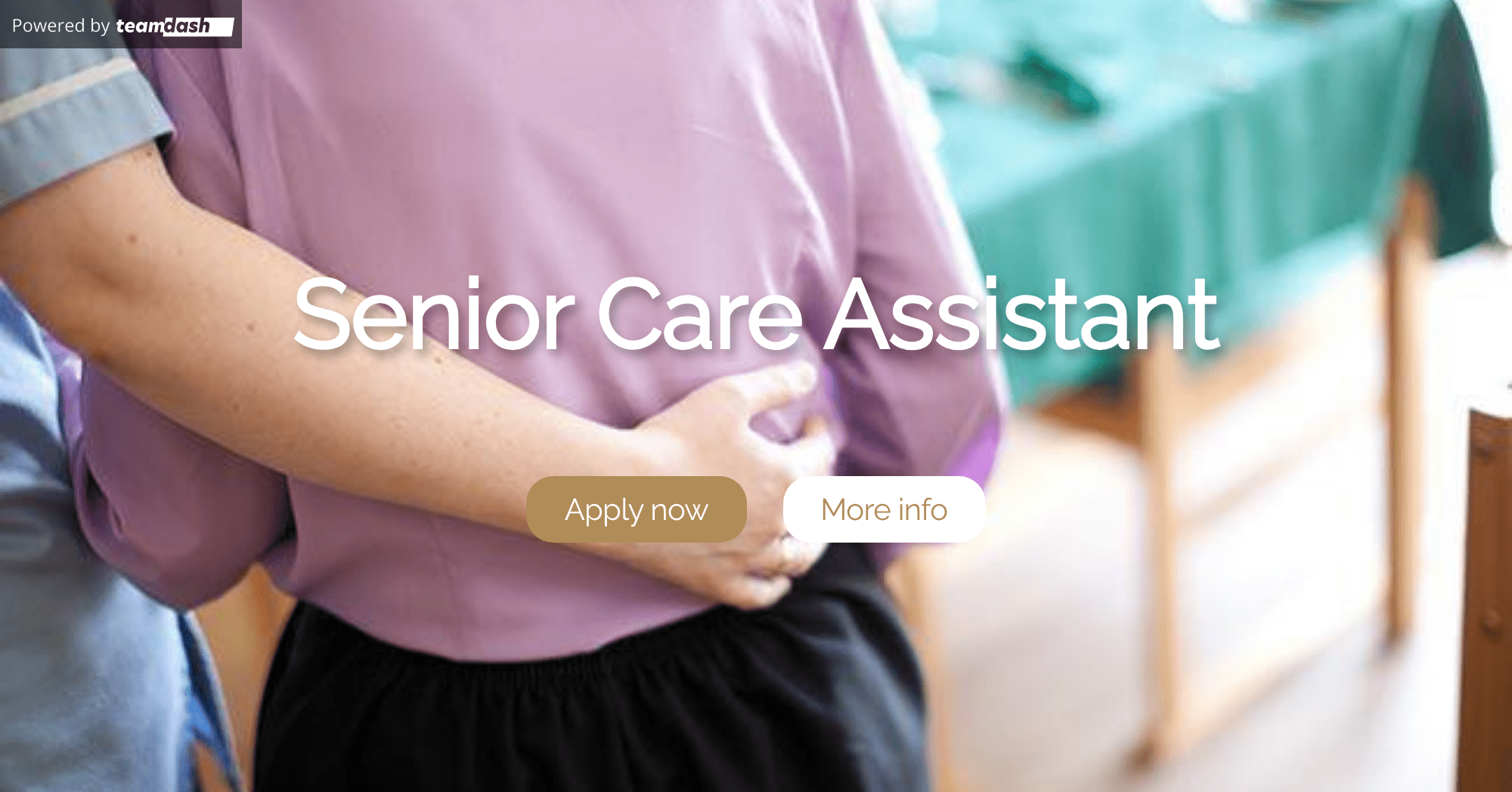 Senior Assistant Senior Care Assistant