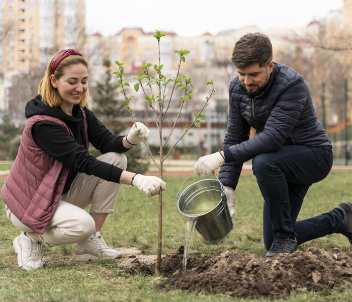 Job ad argument image