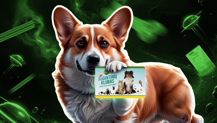 Job ad argument image