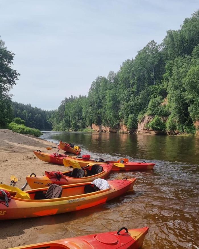 Job ad argument image