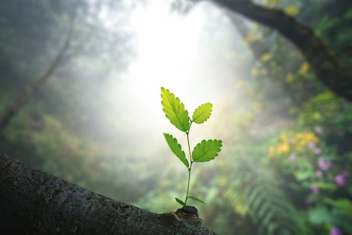 Job ad argument image