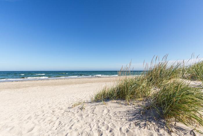 Job ad argument image