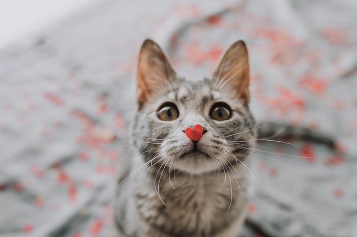 Job ad argument image